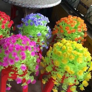 hoa giây lụa thanh phẩm