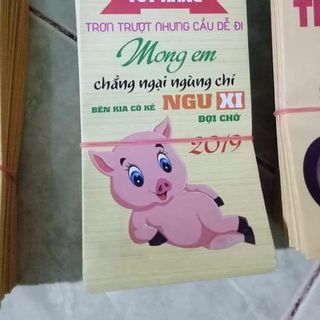 Bao lì xì tết con heo 2019