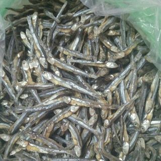 khô cá cơm