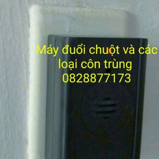 Máy đuổi chuột bảo đảm hiệu quả cao giá sỉ