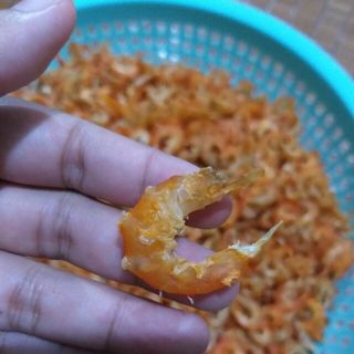 tôm khô Cà Mau