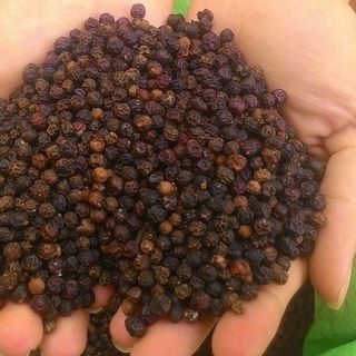 TIÊU HẠT ĐĂK LĂK - 1kg/gói