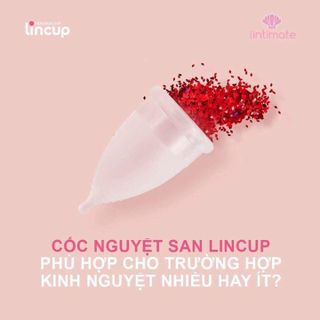 Cốc Nguyệt San Lincup