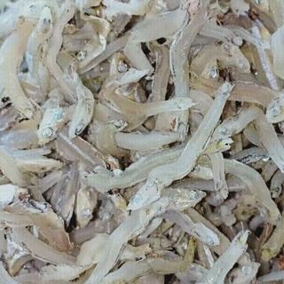 khô cá cơm sữa