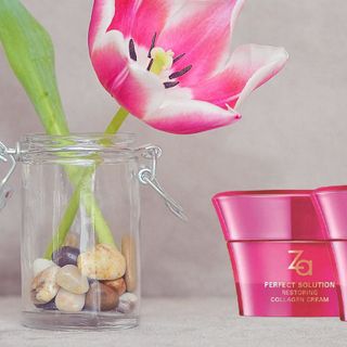 Kem chống lão hóa Perfect Solution 40g - Sale