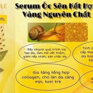 trọng bộ mỹ phẩm Wynn