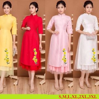 SET ÁO DÀI LỤA  THÊU LAN PHỐI LƯỚI  CHÂN VÁY1