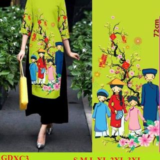 SET ÁO DÀI CÁCH TÂN LỤA GẤM4