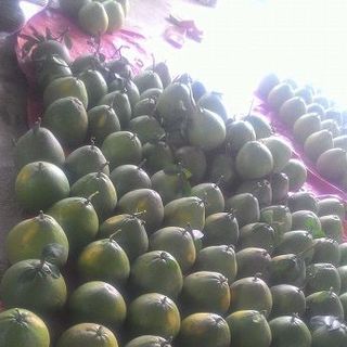 Bưởi Tân Triều Bưởi Đường Lá Cam