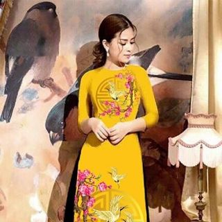 SET ÁO DÀI CÁCH TÂN IN 3D LỤA TẰM 2