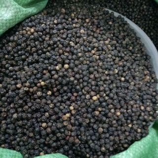 tiêu hạt đắk lắc