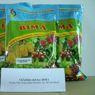 Nấm đối kháng Trichoderma