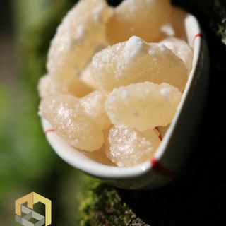Mứt đậu trắng - Thảo Đà Lạt
