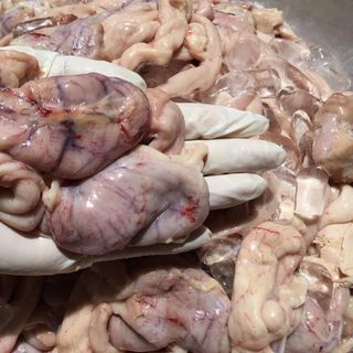 Dồi trường gà 500g