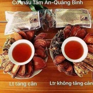 CỎ MÁU TÂM AN