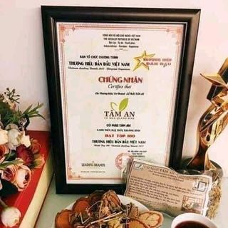CỎ MÁU TÂM AN