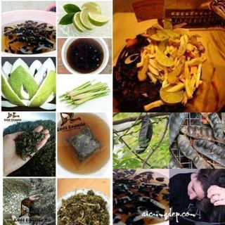 TÚI LỌC GỘI ĐẦU REEL BEAUTE