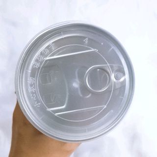hắc kỹ tử