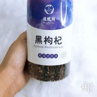 hắc kỹ tử