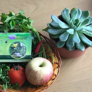 Trà khổ qua rừng túi lọc Hiệp Vân