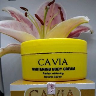 Dưỡng body cavia thái lan