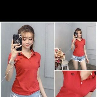 ÁO THUN CỔ BẺ