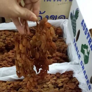 Nho khô nguyên cành Thomson thượng hạn của Úc thùng 4kg