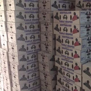 Nho khô nguyên cành Thomson thượng hạn của Úc thùng 4kg