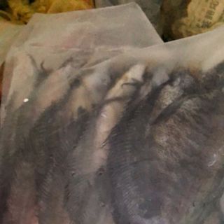 KHÔ CÁ SẶC sỉ ib
