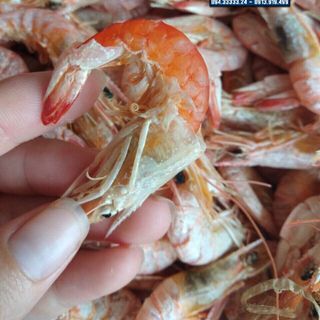 TÔM KHÔ ĐẤT CÒN VỎ giá sỉ