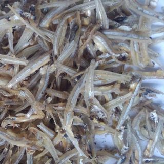 CÁ CƠM PHÚ QUỐC