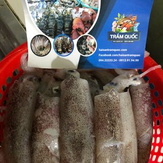MỰC TRỨNG ĐẦY TRỨNG