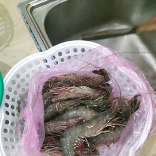 tôm sú 28-30 con/kg