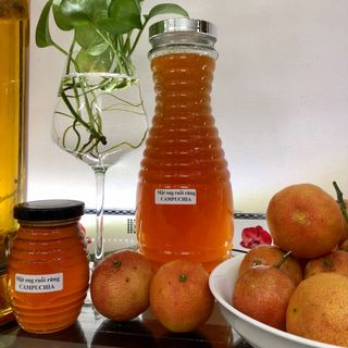 Mật ong ruồi rừng thiên nhiên