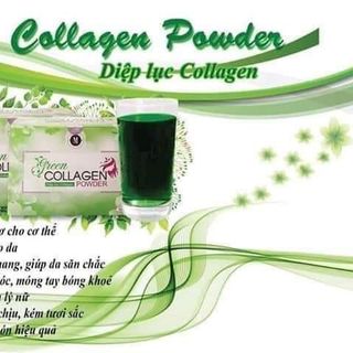 Diệp lục colagen giá sỉ