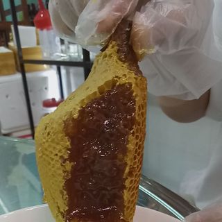 Mật ong ruồi rừng thiên nhiên