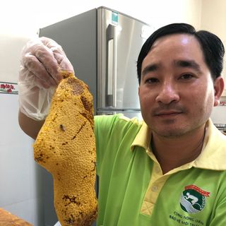 Mật ong ruồi rừng thiên nhiên