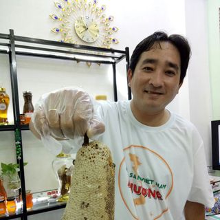 Mật ong ruồi rừng thiên nhiên