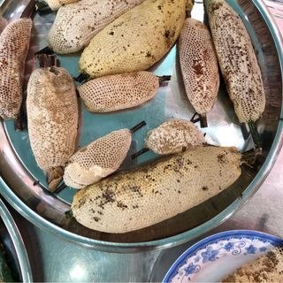 Mật ong ruồi rừng thiên nhiên