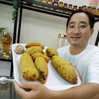 Mật ong ruồi rừng thiên nhiên