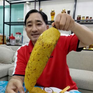 Mật ong ruồi rừng thiên nhiên