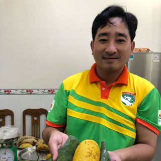 Mật ong ruồi rừng thiên nhiên