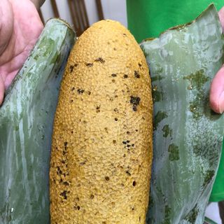 Mật ong ruồi rừng thiên nhiên