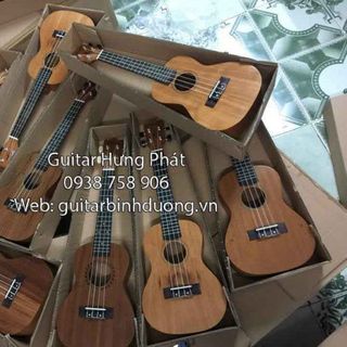 Bán guiar ukulele mini nhỏ gọn dễ chơi giá siêu rẻ tại bình dương