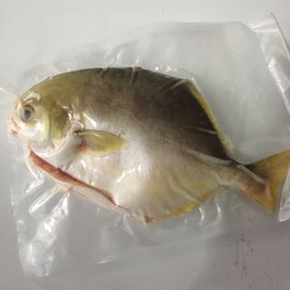 CÁ BIỂN