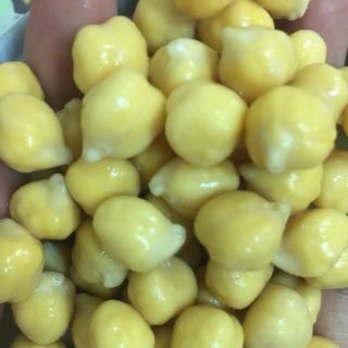 Đậu Gà - Đậu Chickpeas giá sỉ hàng bao xá