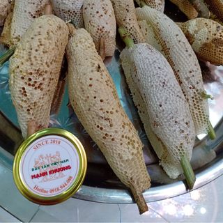 Mỗi tuần mình có 2 lần tổ về Cần Thơ
