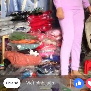 bộ vảy da cá