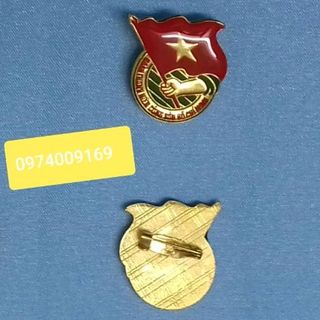 Combo 50 huy hiệu đoàn hàng đẹp