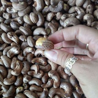 HẠT ĐIỀU RANG MUỐI GIÁ SỈ